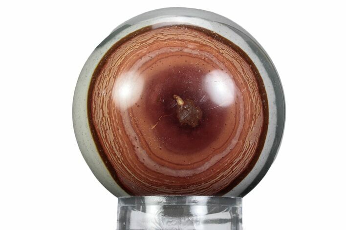 Polished Polychrome Jasper Sphere - Madagascar #383934